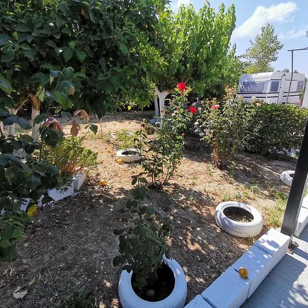 Отель Green Garden Caravan Agrilia Экстерьер фото