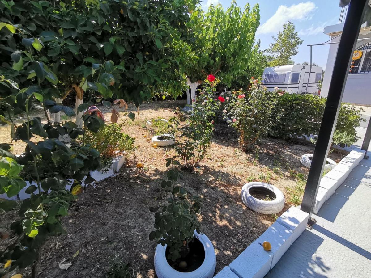 Отель Green Garden Caravan Agrilia Экстерьер фото